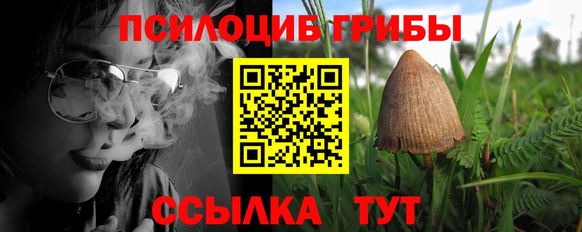 Псилоцибиновые грибы GOLDEN TEACHER  Вход с VPN  Фролово 